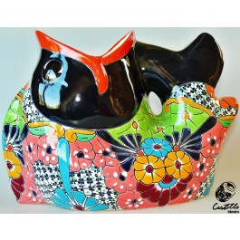 PEZ BONSAY MACETA GRANDE 