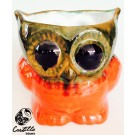 BUHO MACETA 