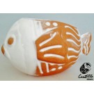 PEZ GLOBO CALADO 