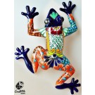 RANA DE PARED GRANDE 